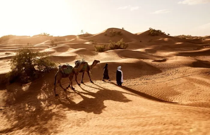 10 Days Tour from Casablanca