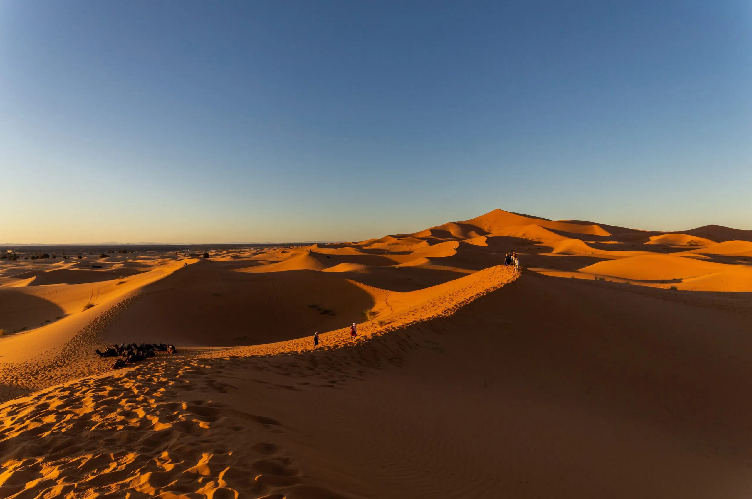A shot of North Algodones Dunes