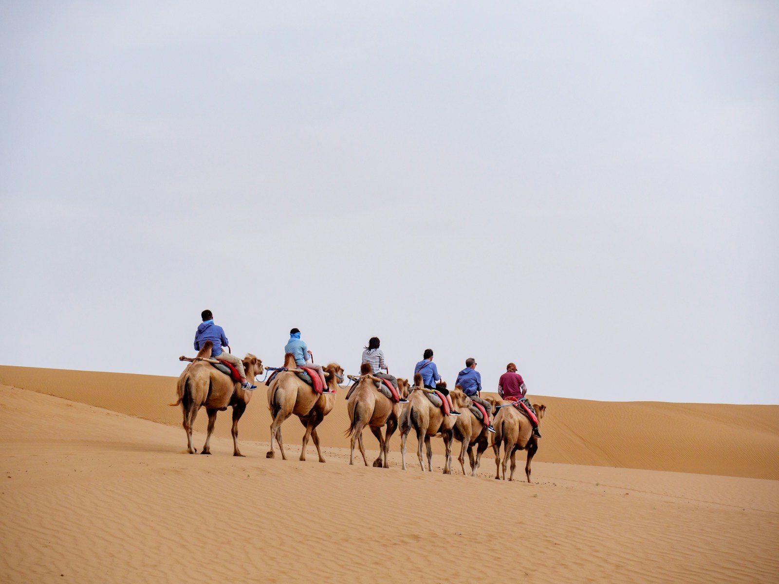 Morocco group tour