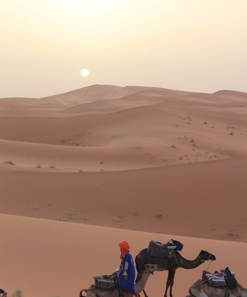 12 Days Tour in Morocco from Tangier