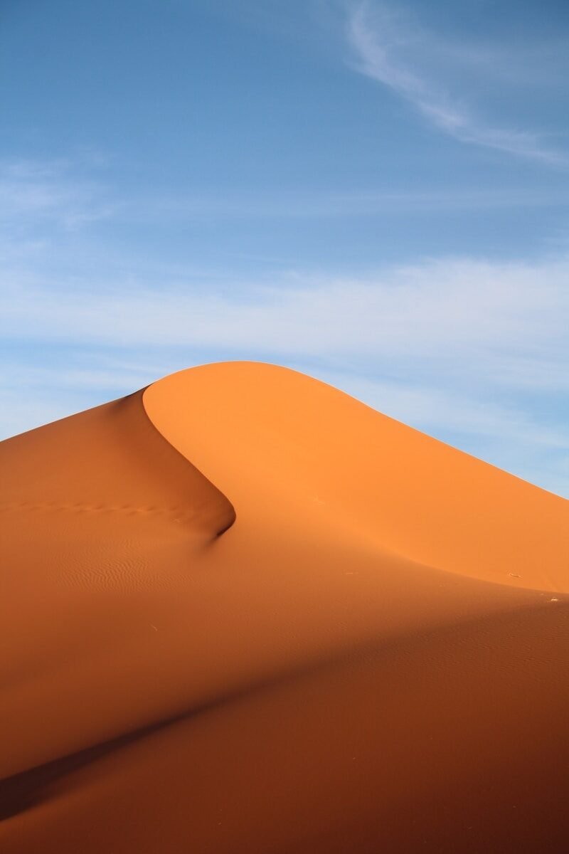 Discover Morocco with a Private Family Tour